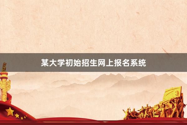 某大学初始招生网上报名系统