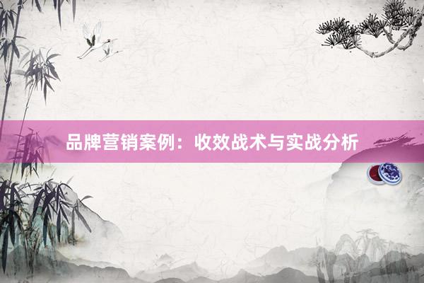 品牌营销案例：收效战术与实战分析